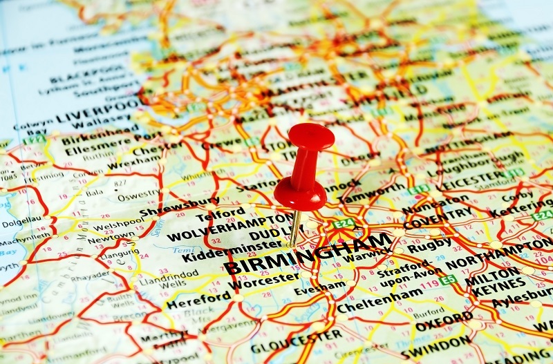 Tulips flowers  / these flowers